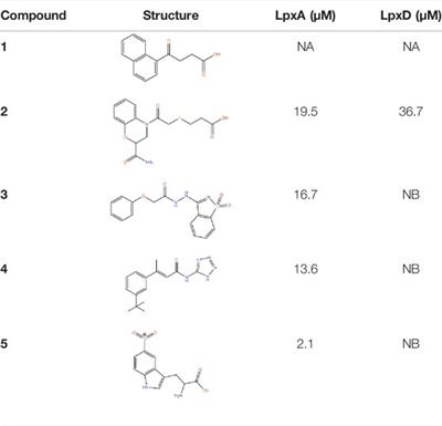 Using Structure-guided Fragment-Based Drug Discovery to Target Pseudomonas aeruginosa Infections in Cystic Fibrosis